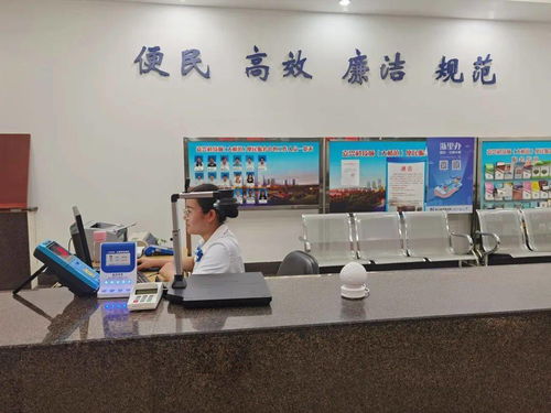 嘉興科技城大橋鎮便民服務中心啟用“一窗受理、全域通辦”公用事業服務窗口