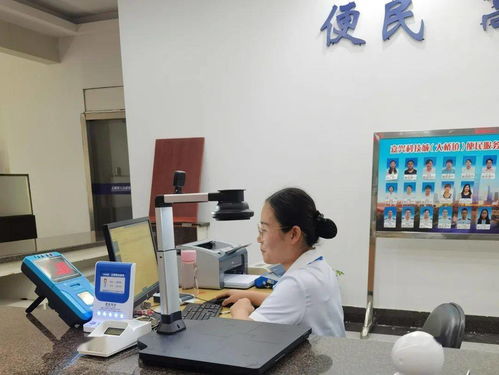 嘉興科技城大橋鎮便民服務中心公用事業服務窗口正式啟用，提供全域通辦與信息技術咨詢服務